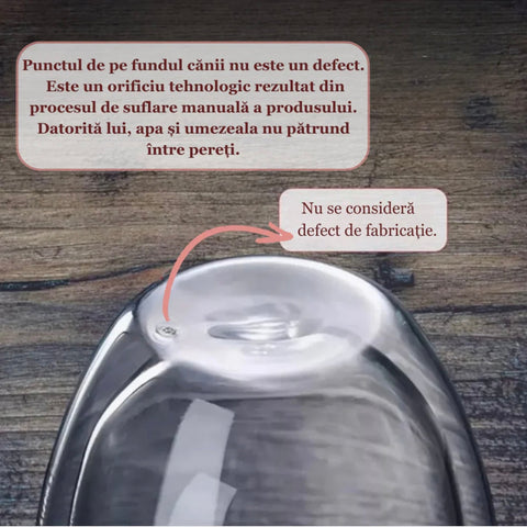 Set 6 cesti cafea cu pereti dubli sticla termorezistenta 200 ml Mesaj COFFEE CADOUL PERFECT terasa