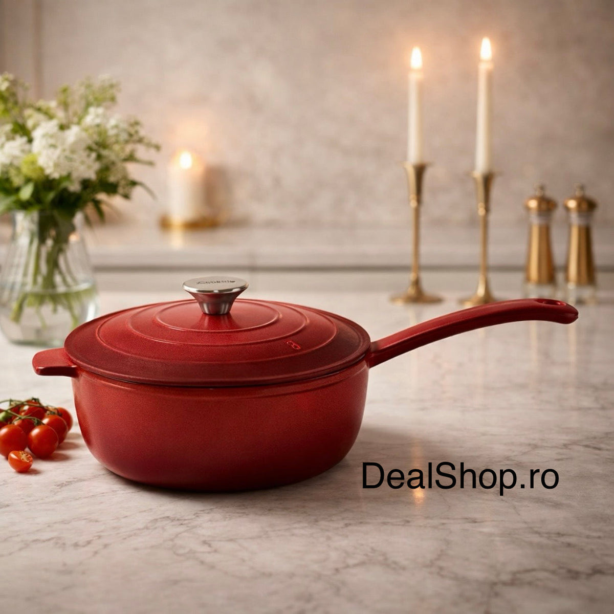 TIGAIE ADANCA FONTA EMAILATA + CAPAC 24 X 8 CM, 2.5 L, RED LINE, COOKING BY HEINNER, HR-KN-T24