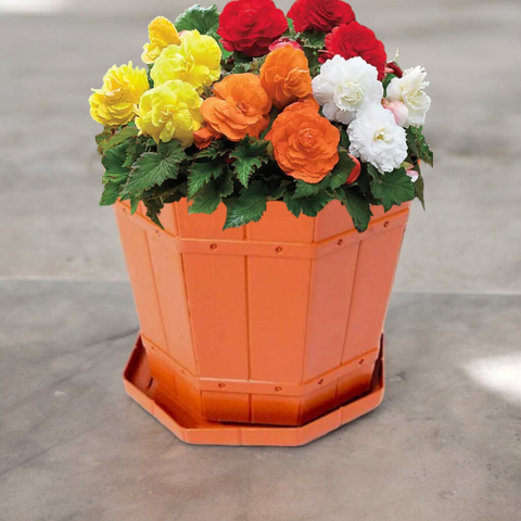 Ghiveci 5 Litri din Plastic Model Rustic Perfect pentru Plantele Tale Preferate