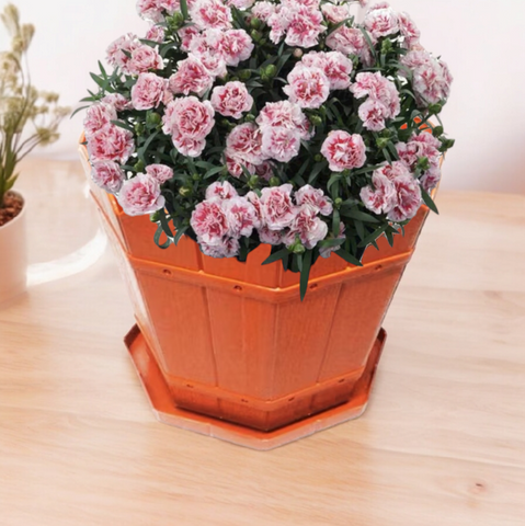 Ghiveci rustic 32 Litri din plastic cu tavă ideal pentru Plantele Tale de Dimensiuni Mari
