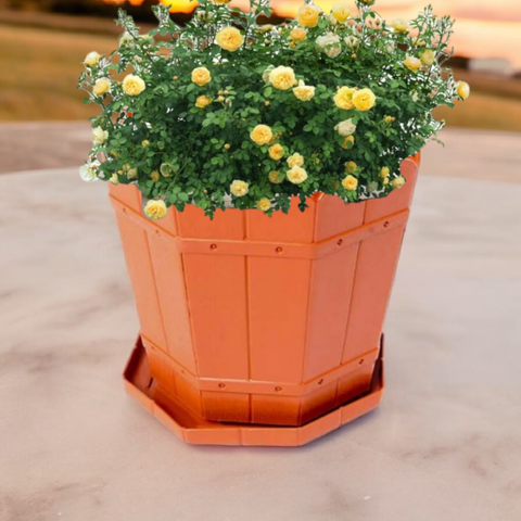 Ghiveci 5 Litri din Plastic Model Rustic Perfect pentru Plantele Tale Preferate