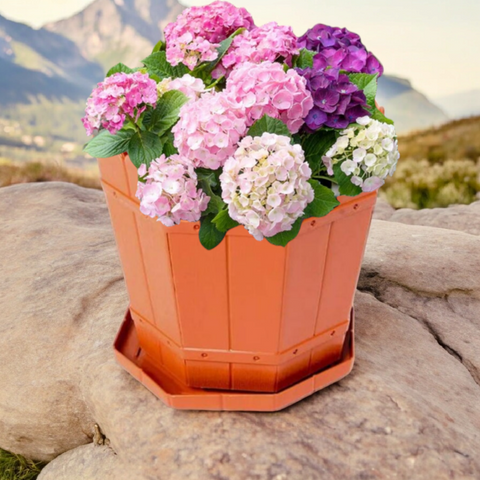 Ghiveci rustic 32 Litri din plastic cu tavă ideal pentru Plantele Tale de Dimensiuni Mari