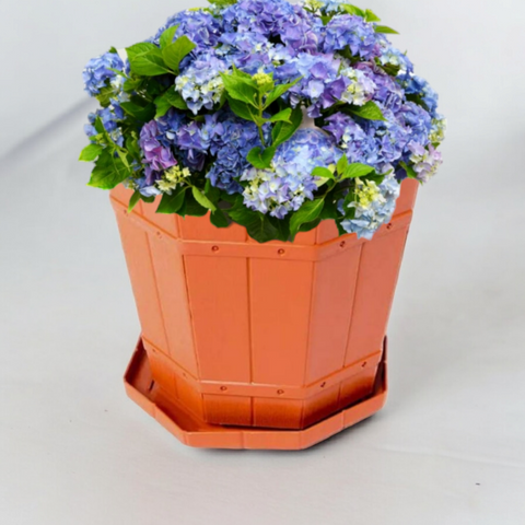 Ghiveci 5 Litri din Plastic Model Rustic Perfect pentru Plantele Tale Preferate