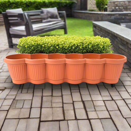 Jardiniera 60 cm ghiveci  Bella plastic maro  Eleganță și Funcționalitate pt terasa  Grădina Ta