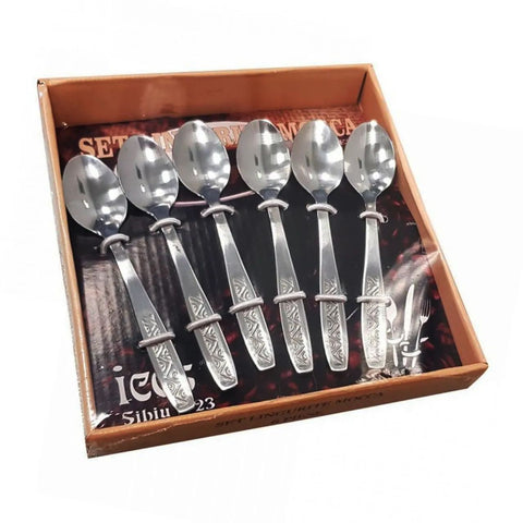 Set 6 lingurite inox Ana