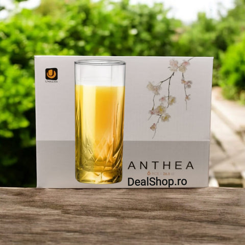 Set 6 pahare din Sticla, 265 ml, Anthea PT SUC APA VIN BERE IDEALE PT TERASA PISCINA EVENIMENTE