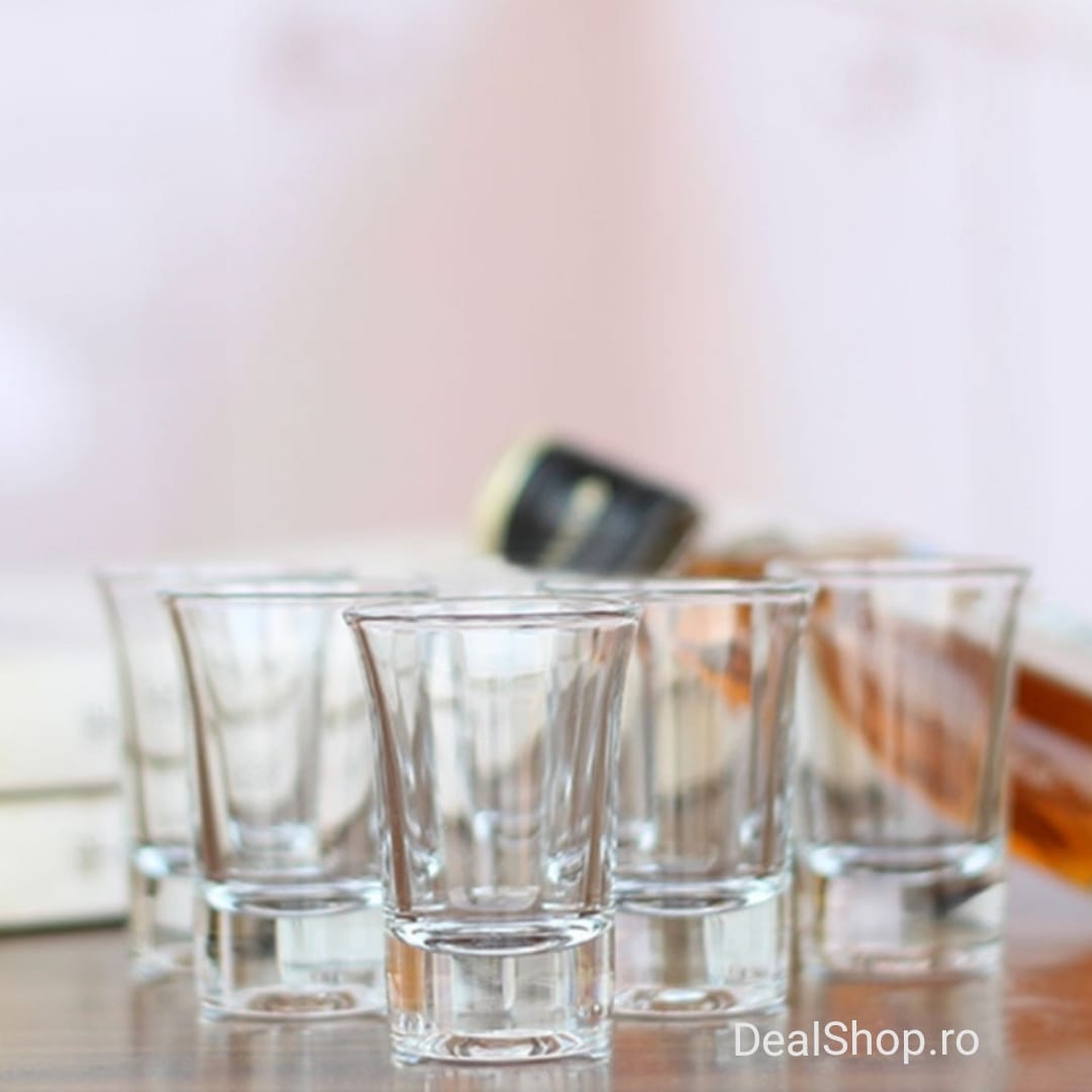 Set 6 pahare din Sticla pentru tuica shot 50 ml Kaveh Niloufar Ideale pt terasa sau evenimente
